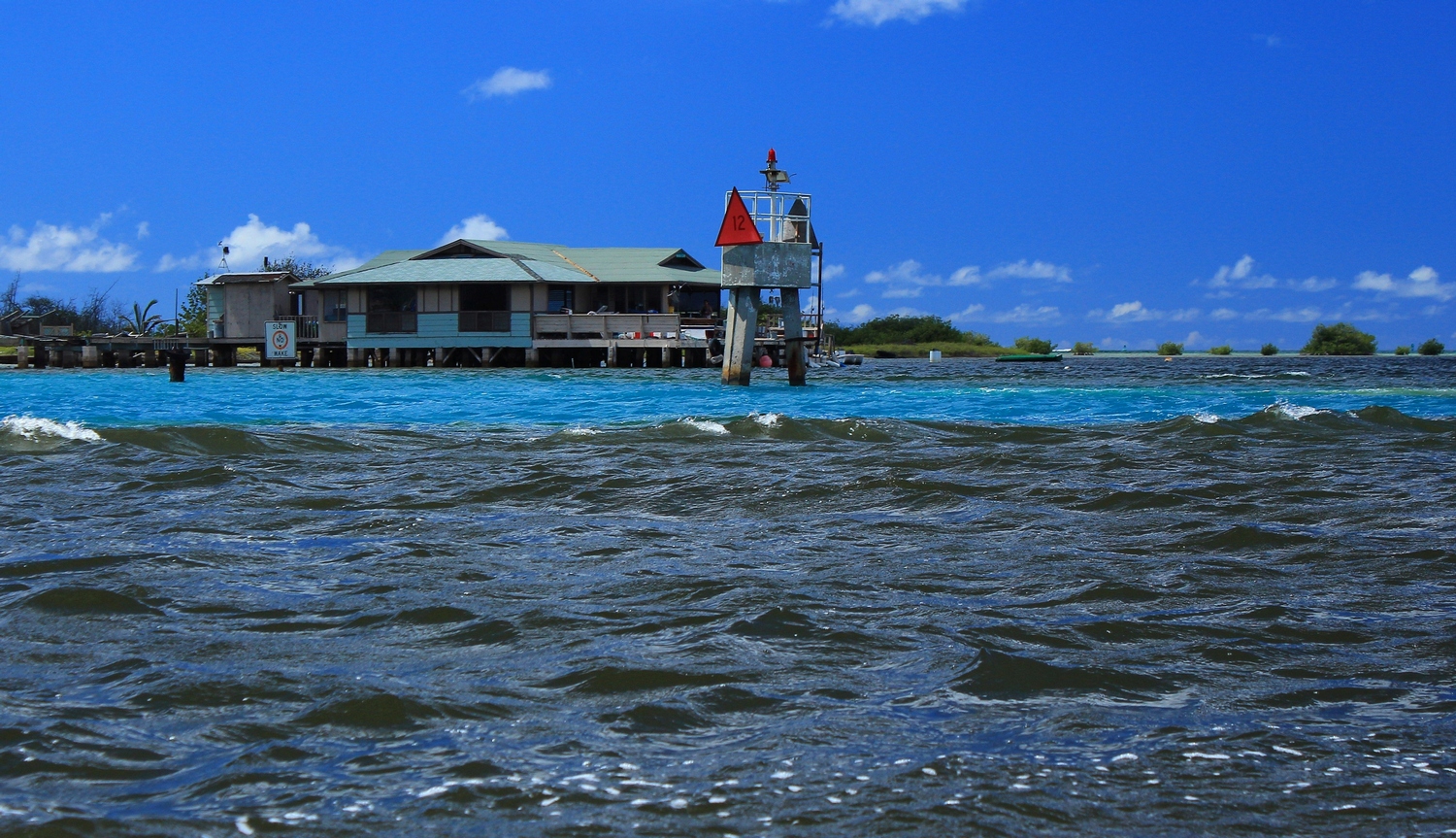 What's Worse Than an Oil Spill? A Molasses Spill The Atlantic